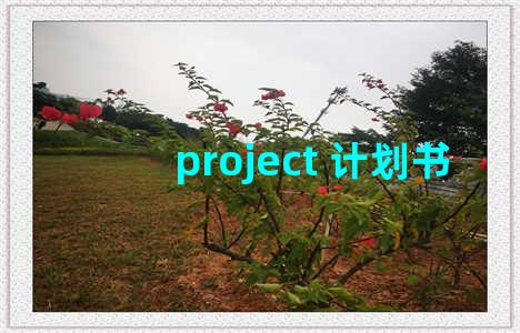 project 计划书